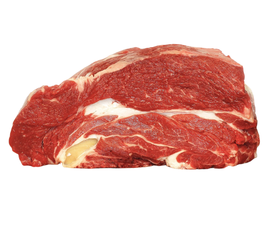 Collier de Bœuf avec Os